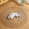 Cat supplies collection banner