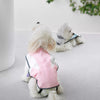 AverraPets Clothing & Accessories collection banner