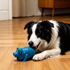 AverraPets Toys & Play collection banner