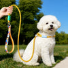 Walking and travel pet supplies collection banner