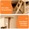 Large Cat Tree with Scratching Posts and Enclosed Cat House