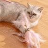 Interactive Cat Teaser Wand Toy