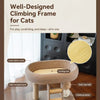 Compact Cat Tree with Sisal Scratching Post, Ladder, and Cat Bed