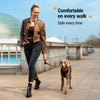 Retractable Dog Leash for Small to Large Dogs