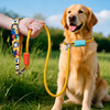 Nylon Dog Leash for Training and Everyday Walks