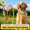 Nylon Dog Leash for Training and Everyday Walks