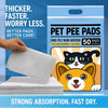 Disposable Absorbent Pet Urine Cleanup Sheets