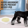 Disposable Absorbent Pet Urine Cleanup Sheets
