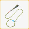 Nylon Dog Leash for Training and Everyday Walks