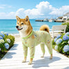 Four-Leg Mesh Dog Shirt