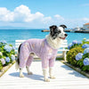 Four-Leg Mesh Dog Shirt