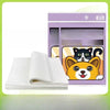 Disposable Absorbent Pet Urine Cleanup Sheets