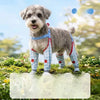 Dog Rain Jumpsuit with Attached Leg Covers