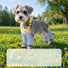 Dog Rain Jumpsuit with Attached Leg Covers