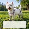 Dog Rain Jumpsuit with Attached Leg Covers