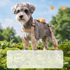 Dog Rain Jumpsuit with Attached Leg Covers